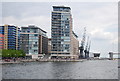 Apartment blocks and cranes, Royal Victoria Dock