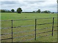 Grassy field near Lydes Farm