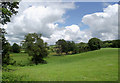 Pasture near Llangybi, Ceredigion