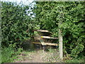 A footpath to the A168 (the old A1)