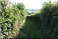 Path around the edge of Salcombe