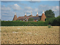 TQ6549 : Oast House by Oast House Archive