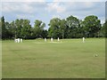 Sunday Cricket