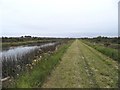 N6331 : Grand Canal South of Edenderry, Co. Offaly by JP