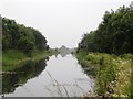 N5131 : Grand Canal in Toberdaly, Co. Offaly by JP