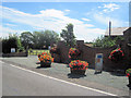 SJ3822 : Floral display outside Barncroft Nurseries by John Firth
