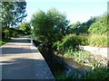 The River Pool at Riverview Walk