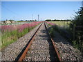 The Barton and Immingham Light Railway at Station Road (2)