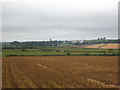 Potato field at Trescowe