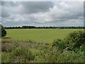 Sports ground west of the railway line