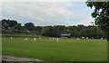 Cricket on Horsdean Recreation Ground