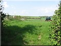 Farmland, Sutton Mallet