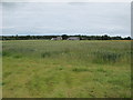 View north over fields from the old A96