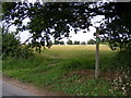 TM4059 : Footpath to the B1069 Church Road by Geographer