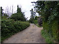 TM4159 : Footpath to the A1094 Aldeburgh Road by Geographer