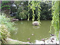 TQ0902 : Duck Pond in Little Paddocks by Josie Campbell