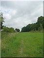 Footpath - Carr Lane