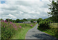 Lane to Llanddewi-Brefi, Ceredigion