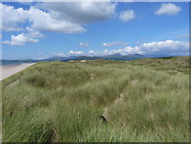SH5632 : Harlech dunes - looking north by Richard Law
