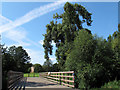 Ladywell Fields: new footbridge