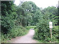 TQ4198 : Accessible path, Epping Forest by Malc McDonald