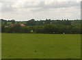 Pastures at Woodbridge Farm