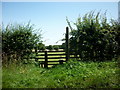 A footpath to North Stainley