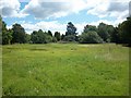 Coleshill Common