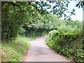 Dorweeke Cross: the road north to Figtree Farm