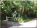 Bridge over Burn River at Burnhayes