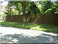 Ghostly effect on fencing on Common Lane