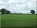 Stocks Farm on Spatham Lane