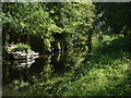 Basingstoke Canal