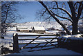 Ryefields Farm from Butterhouse