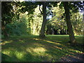 Shotley Bridge picnic area