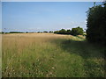 Footpath to Great Coates