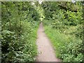 Public Bridleway on Naphill Common