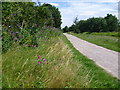 Addiscombe Railway Park