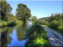 SE0026 : Rochdale Canal, Mytholmroyd by David Dixon