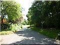 Green Hill Lane, Ainderby Steeple