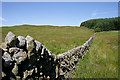 A drystane dyke at Tom