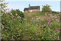 Hartshead Green