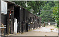 Riding School Stables