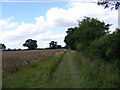 Footpath to Lowes Hill