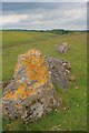 SK1860 : Limestone Outcrops, Long Dale by Mick Garratt