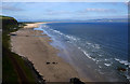 C7536 : Downhill Strand from Mussenden Temple by Rossographer