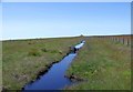 Water feature on moor