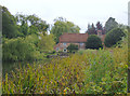 Fullerton Mill, on the River Anton