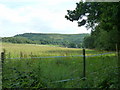 View south over field to the South Downs