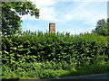 Chimney for the boiler house at the former Ditchling Nursery